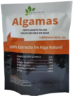 product-300-395 product-300-395